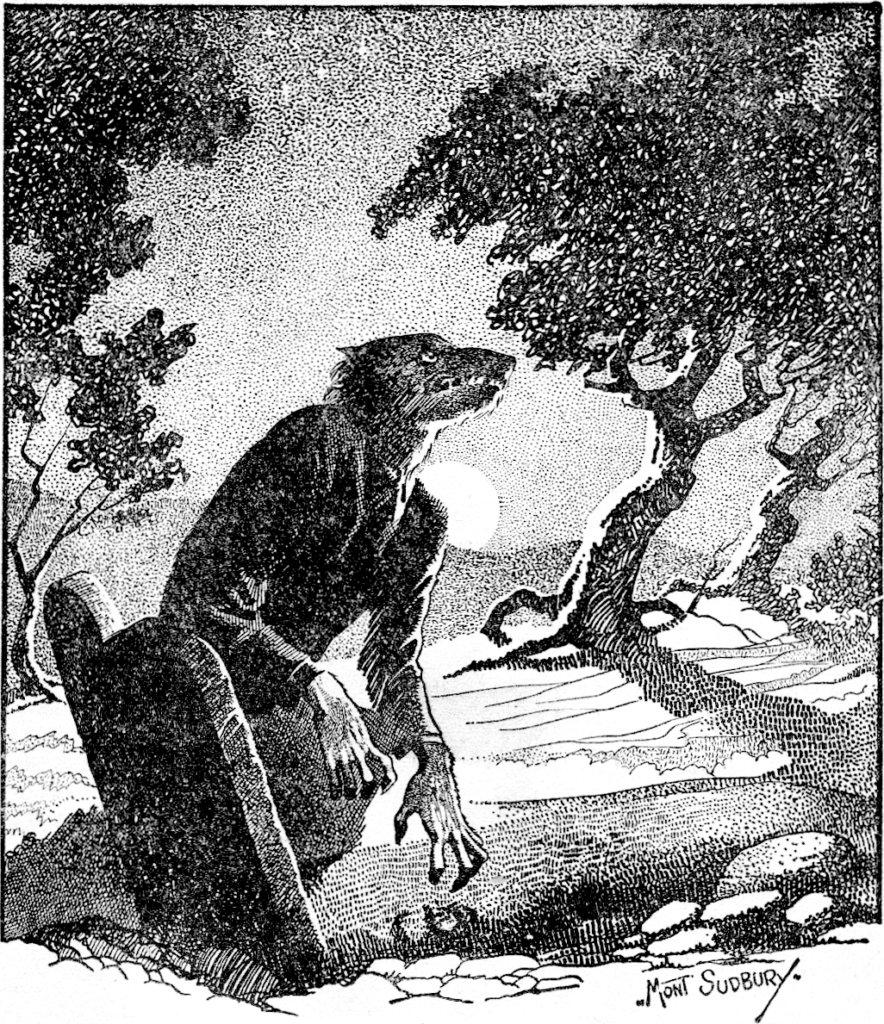 Ilustracja przedstawiająca wilkołaka nocą w lesie w opowiadaniu „The Werewolf Howls”